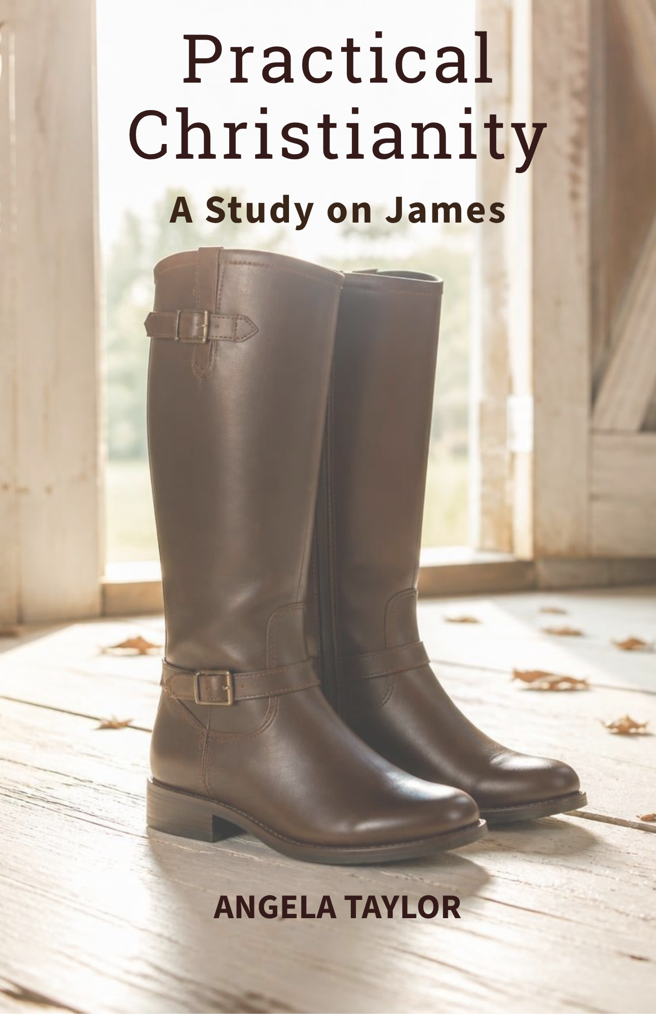 Practical Christianity: A Study on James, by Angela Taylor